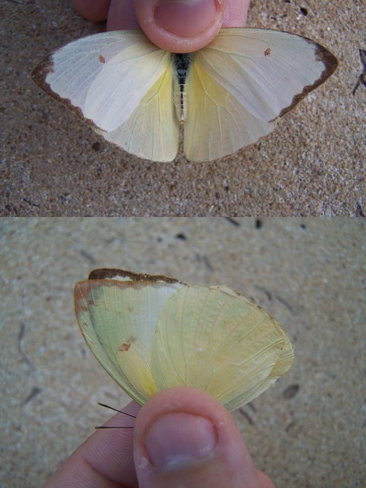 FIGURE 2 FIGURE 2